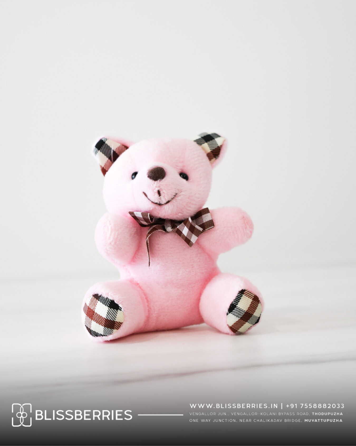 Cute Little Teddy Bear Keychain | Multicolor Teddy Key Ring for Keys, Bags & Gifting