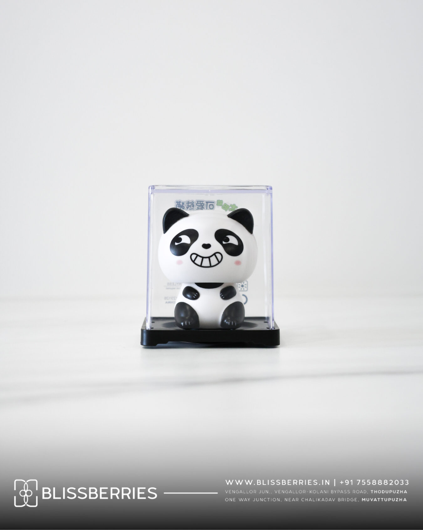 Solar Powered Mini Panda Bobble Head | Cute Dashboard & Desk Decor Toy
