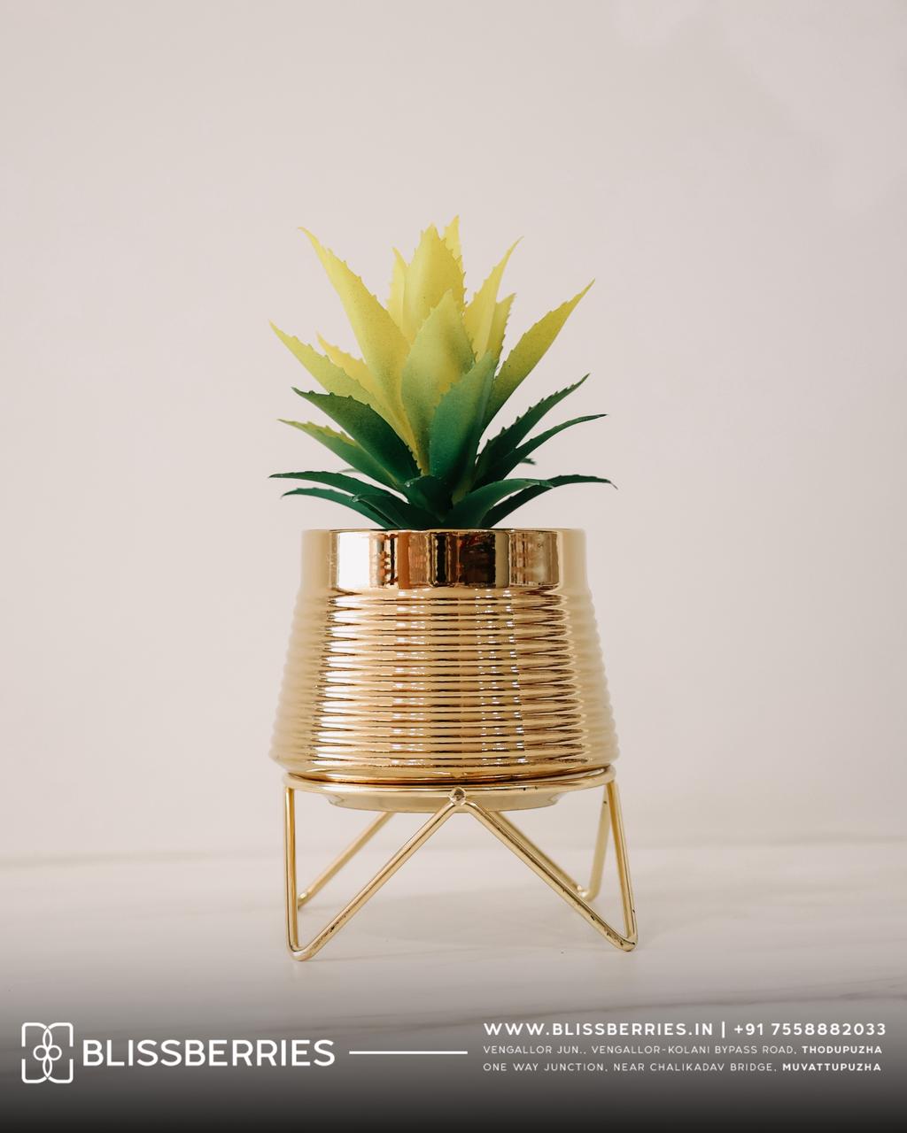Decorative Plant Pot with Golden Stand | Elegant Tabletop Planter for Home & Office Decor