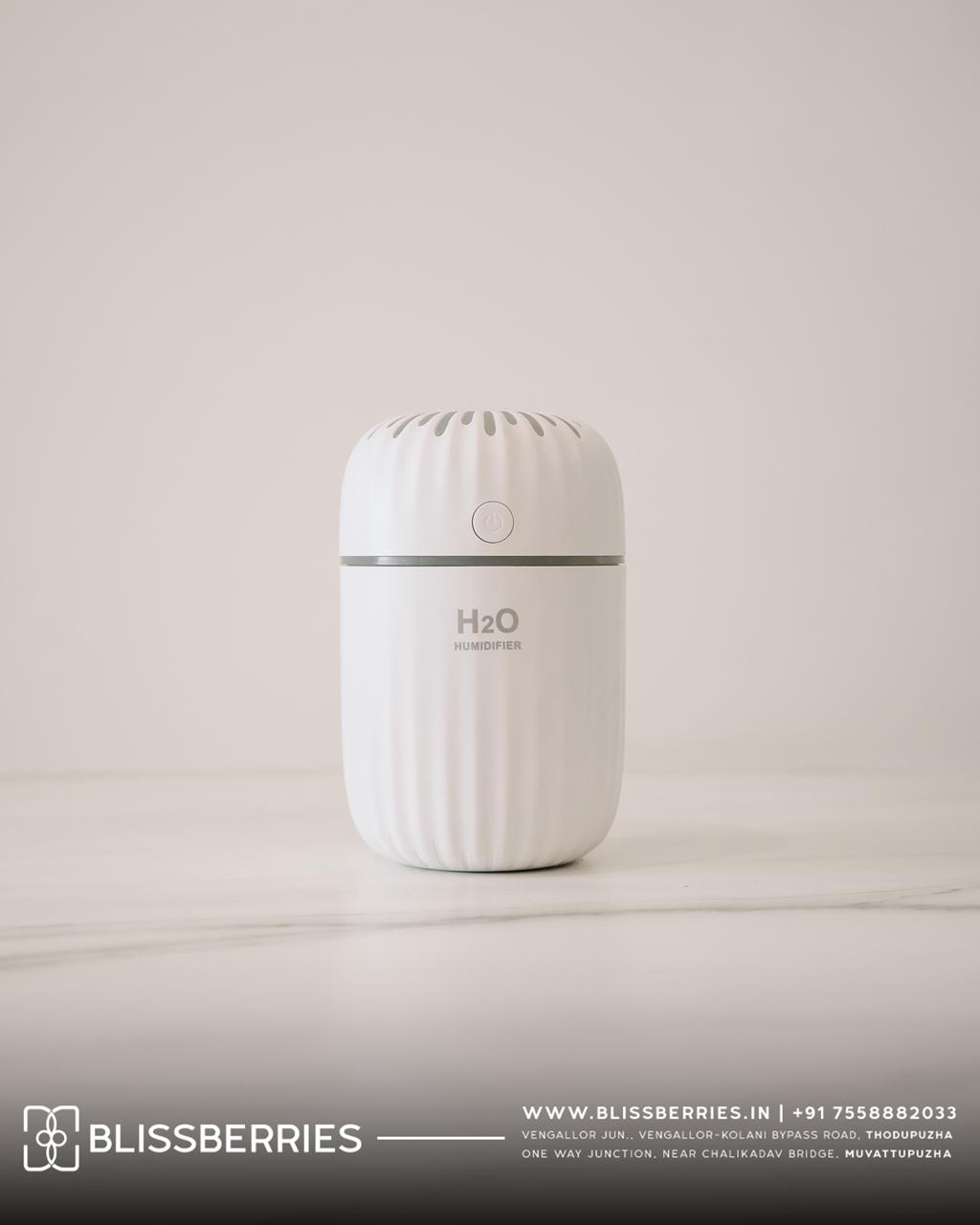 3-in-1 Humidifier & Aroma Diffuser | Ultrasonic Cool Mist Humidifier for Home & Office