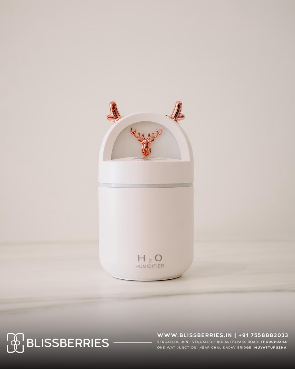 Portable Mini Humidifier with USB | Compact Cool Mist Humidifier for Bedroom, Car & Office